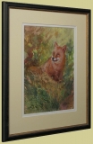Wildlife