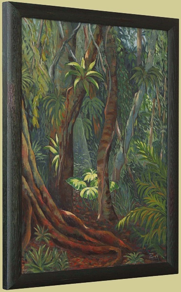 Deep in the Rainforest, Australia