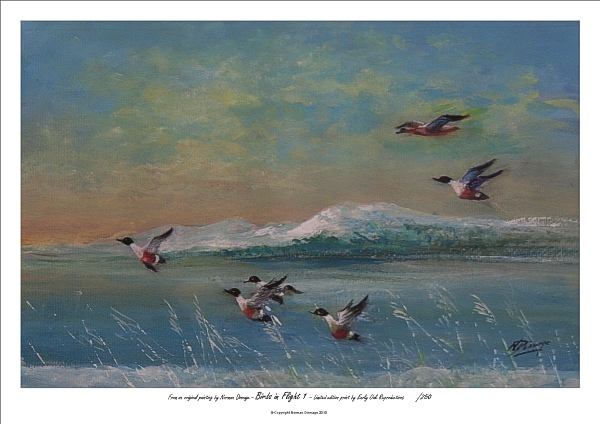 Birds in Flight