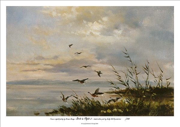 Birds in Flight 2
