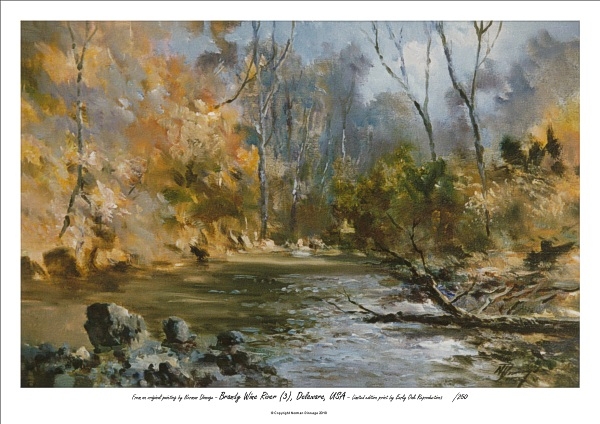 Brandy Wine River 3