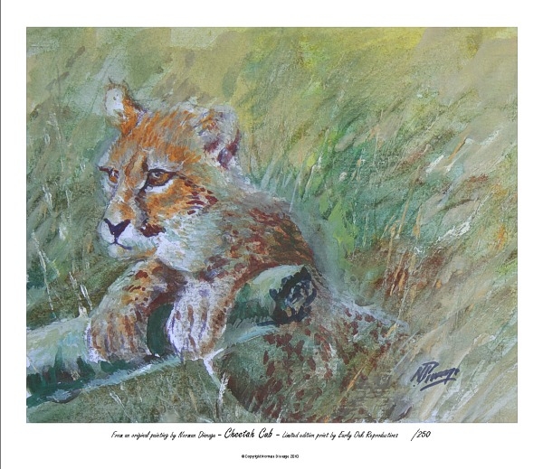 Cheetah Cub