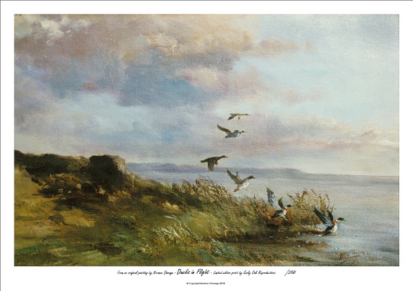 A5, Ducks in Flight