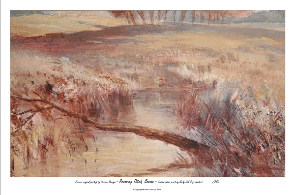 A5, Pevensey ditch, Sussex