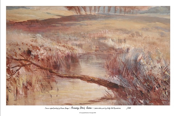 Pevensey ditch, Sussex