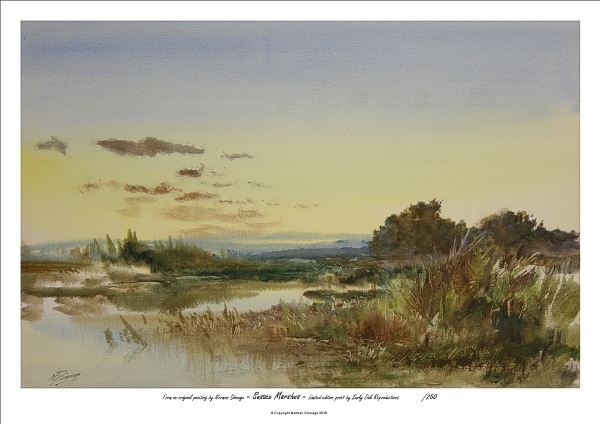Sussex Marshes