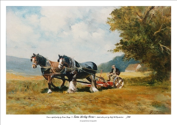 Sussex Working Horses