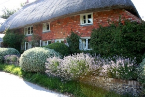 Thatched cottage at Alciston