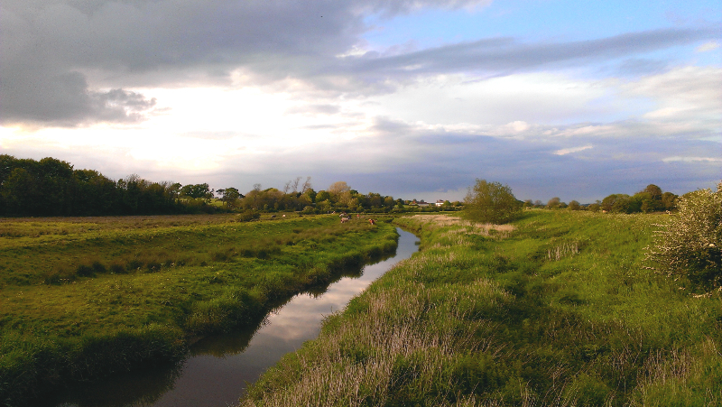 Looking north from Long Bridge towards Berwick Court Farm