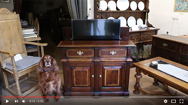 Alfie the Irish Setter, looks on totally disinterested in out lovely TV cabinet in action